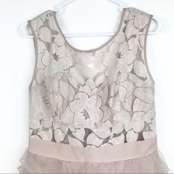 BCBG Generation Tan Blush Ruffle Tulle and Lace Dress - Picture 3 of 11